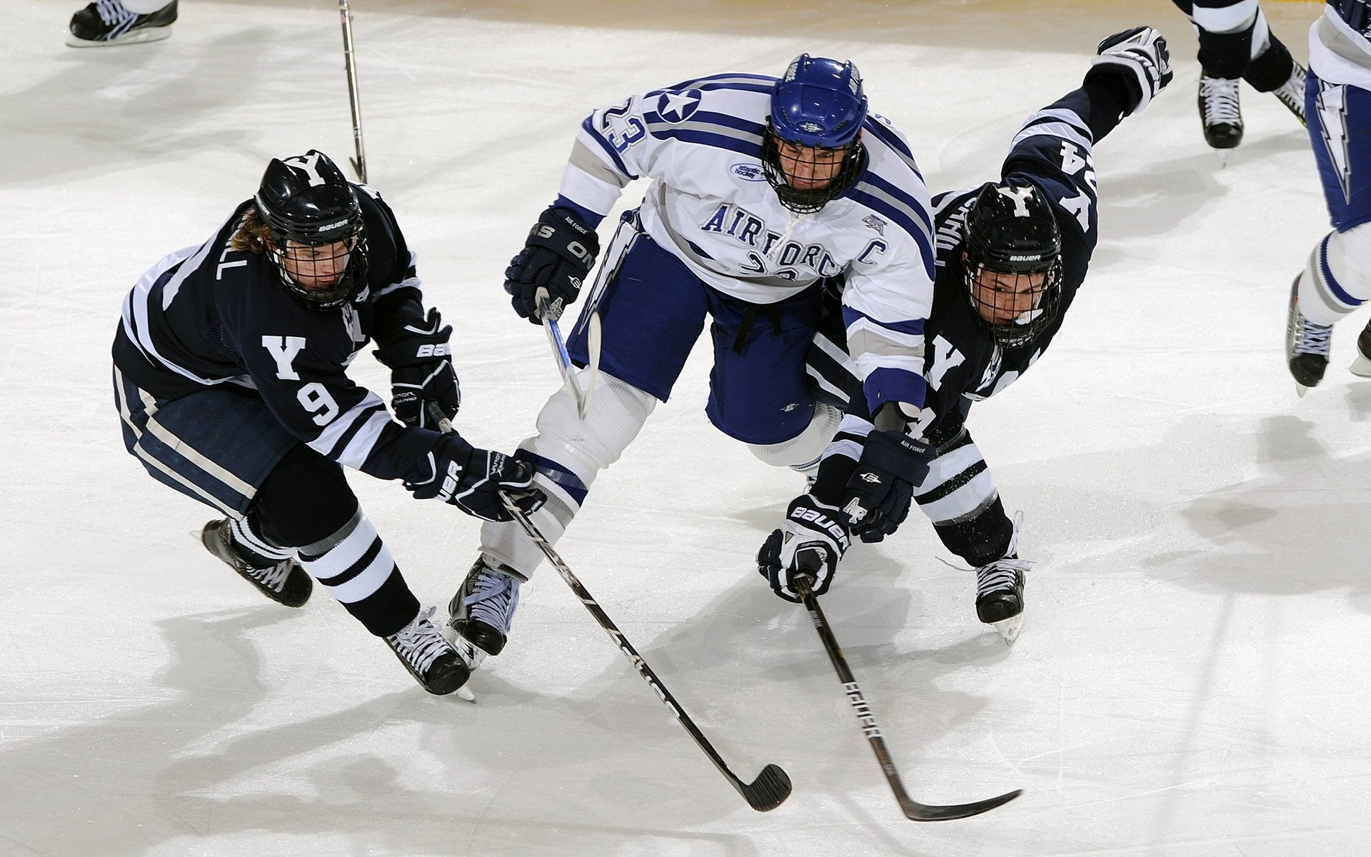 九游体育在线-训练基地开放日活动现场球迷近距离互动反响热烈，训练基地介绍